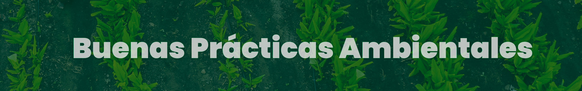 buenas practicas